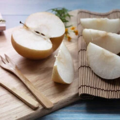 20th Century (Nijisseiki) Asian Pear -Plant Sales Store 20thCentury Pear 1 FGT