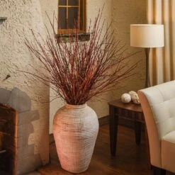 Arctic Fire® Red Twig Dogwood -Plant Sales Store Arctic Fire Twig Dogwood 6 FGT