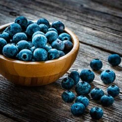 Aurora Blueberry Bush - USDA Organic -Plant Sales Store Aurora Blueberry 4 dc5a7e17 d7e4 4799 b1b9 177f422f6847