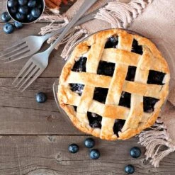 Aurora Blueberry Bush -Plant Sales Store Aurora Blueberry 5