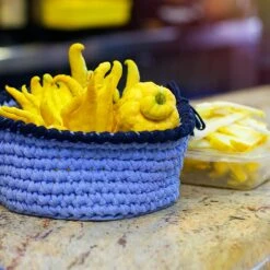 Buddha's Hand Citron Tree -Plant Sales Store BUddhas Hand Citrus 6 FGT 8e440ac0 ef1a 452e 8576 5c1e7bf4eb5a