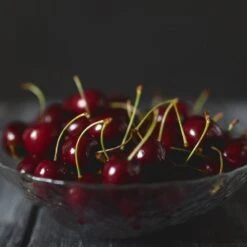 Black Tartarian Cherry Tree -Plant Sales Store Black Tartarian Cherry Tree 2 FGT