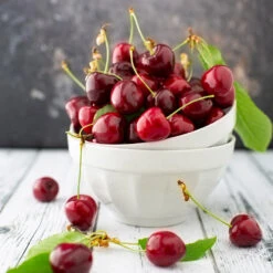 Brooks Cherry Tree -Plant Sales Store Brooks Cherry Tree 5 FGT