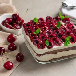 Brooks Cherry Tree -Plant Sales Store Brooks Cherry Tree 6 FGT