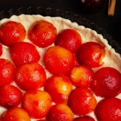 Bubblegum 'Toka' Plum Tree -Plant Sales Store Bubblegum Toka Plum 3