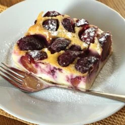 Burgundy Plum Tree -Plant Sales Store Burgundy Plum 3