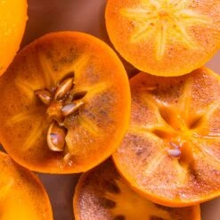 Chocolate Persimmon Tree -Plant Sales Store CHocolate Persimmon 2