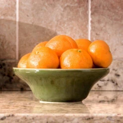 Calamondin Bush -Plant Sales Store Calamondin Bush 4