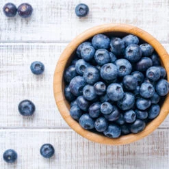 Climax Blueberry - USDA Organic -Plant Sales Store Climax Blueberry 4 6dff9fe5 d11c 4867 ac6f bf49cd37acb5