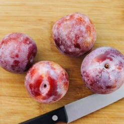 Dapple Dandy Pluot Tree -Plant Sales Store Dapple Dandy 2