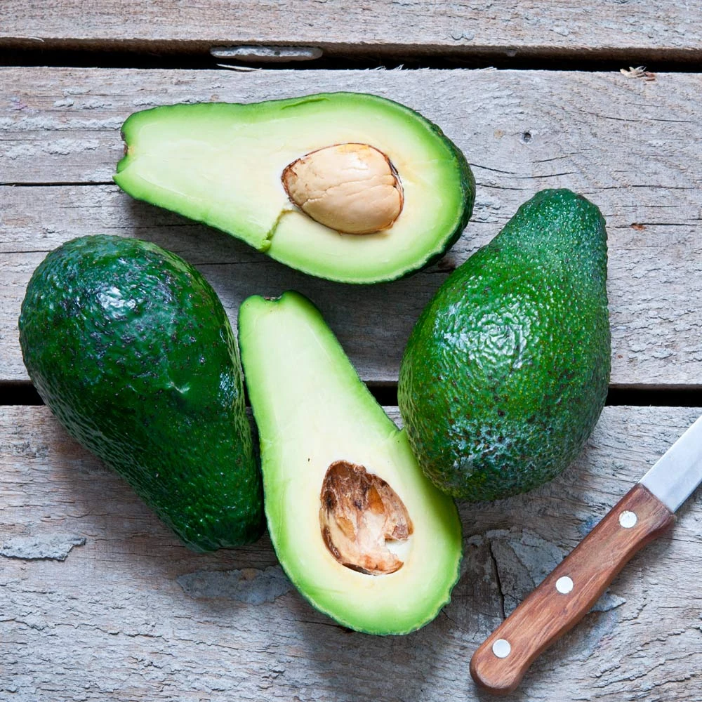 Condo™ Avocado Tree 5 Condo™ Avocado Tree - Image 5