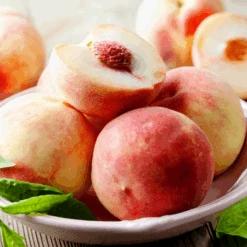 Early White Giant Peach Tree -Plant Sales Store Early White Giant Peach Tree 450 D1