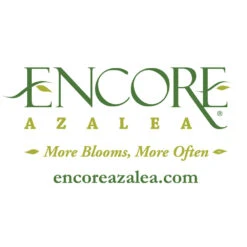 Autumn Fire® Encore® Azalea Shrub -Plant Sales Store Encore Logo 1000x1000 919283c2 7804 49e2 956d 5cb853704c7c