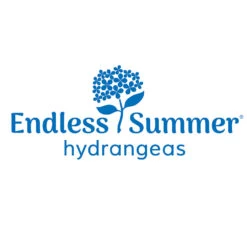 Endless Summer® Summer Crush® Hydrangea 13 Endless Summer® Summer Crush® Hydrangea -Plant Sales Store Endless Summer Hydrangeas 1000x1000 347a4889 45a5 42f4 94f1 e0220955e380