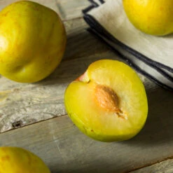 Flavor Queen Pluot® 7 Flavor Queen Pluot® -Plant Sales Store Flavor Queen Pluot 2