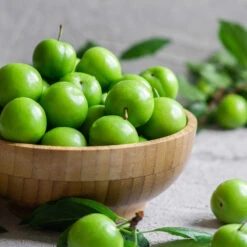 Green Gage Plum -Plant Sales Store Green Gage Plum 2