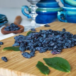 Indigo Treat Haskap (Honeyberry) -Plant Sales Store Indigo Treat Hascap 2 BB