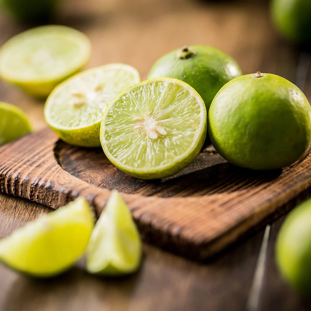 Key Lime Tree 4 Key Lime Tree - Image 4