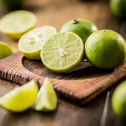 Key Lime Tree - USDA Organic -Plant Sales Store Key Lime Tree 5 FGT da9b0536 ead5 46ca b8b5 d82cfb777942