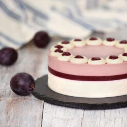 Methley Plum Tree -Plant Sales Store Methley Plum 5 d1cf4da0 c7c8 4a54 8dce 9916c07f2fa6