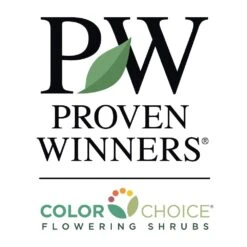 Sprinter® Boxwood Shrub -Plant Sales Store PW Logo CC 1000x1000 c7e5005e 0826 4154 86ed def94c16a032