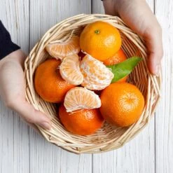 Page Mandarin Tree -Plant Sales Store Page Mandarin Tree 2 FGT