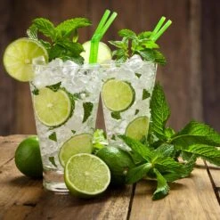 Persian 'Bearss' Lime Tree - USDA Organic -Plant Sales Store Persian Lime Tree 4 FGT 3e2376b1 dd45 4777 a1e5 8c0e252ea773