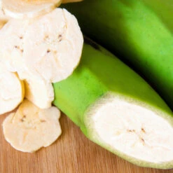 Puerto Rican Plantain Banana Tree -Plant Sales Store Puerto Rican Plantain Banana Tree 3