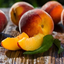 Red Baron Peach Tree -Plant Sales Store Red Baron Peach 4