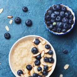 Reveille Blueberry Bush -Plant Sales Store Reville Blueberry 2