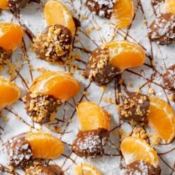 Robertson Navel Orange -Plant Sales Store Robertson Navel Orange 6