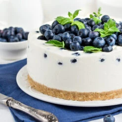 Sunshine Blue Blueberry Bush -Plant Sales Store SUnshine BLue Blueberry 4