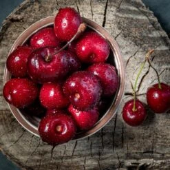 Santina™ Cherry Tree 6 Santina™ Cherry Tree -Plant Sales Store Santina Cherry 1