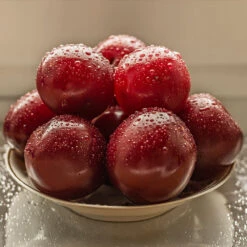 Satsuma Plum Tree -Plant Sales Store Satsuma Plum 3