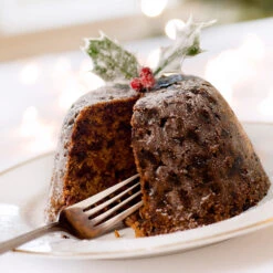 Satsuma Plum Tree -Plant Sales Store Satsuma Plum 4