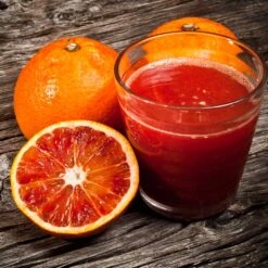 Smith Red Orange -Plant Sales Store Smith Red Orange 3 FGT