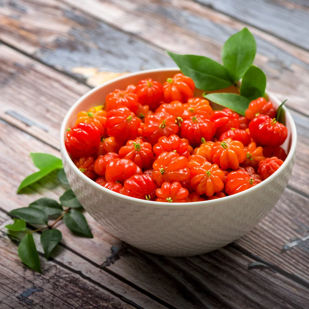 Star Cherry Tree (Pitanga) 4 Star Cherry Tree (Pitanga) - Image 4