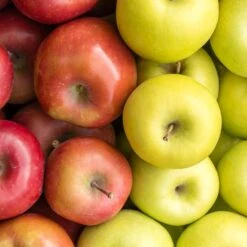 5-in-1 Apple Surprise Tree -Plant Sales Store Surprise Apple 1