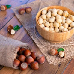 Theta Filbert Hazelnut -Plant Sales Store THeta FIlbert Hazelnut 4