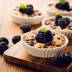 Thornless Blackberry -Plant Sales Store Thornless Blackberry 2