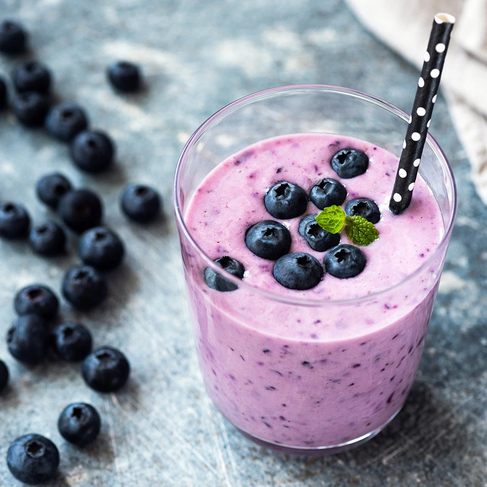 Tifblue Blueberry Bush 5 Tifblue Blueberry Bush - Image 5