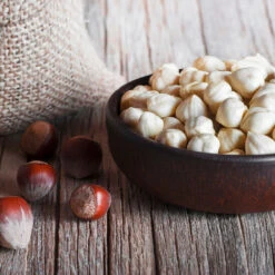 York Filbert Hazelnut -Plant Sales Store York Hazelnut 5